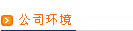 公司环境