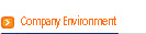 Company Environment